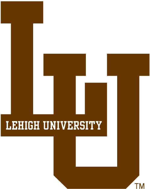 Lehigh Mountain Hawks 0-Pres Alternate Logo diy iron on heat transfer